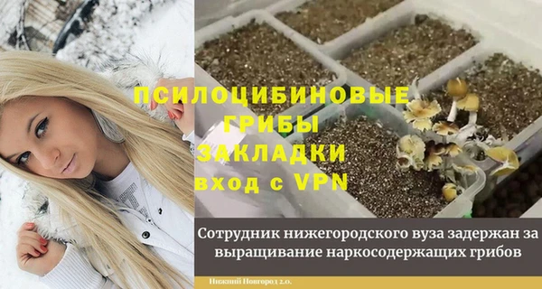 крисы Слюдянка