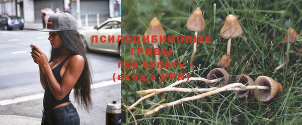 хмурый Беломорск